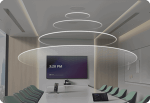 يالينك CS10/CS10-D Network Ceiling Loudspeaker